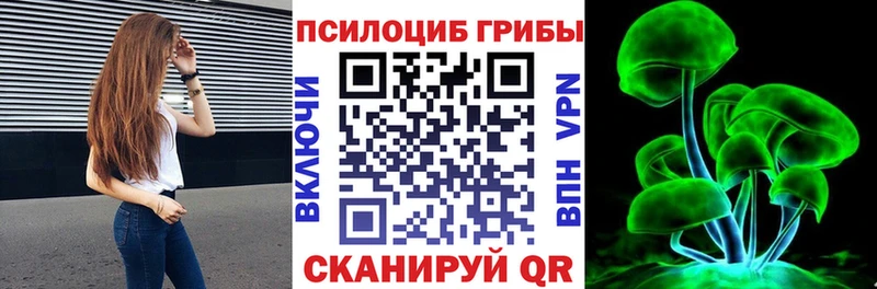 Галлюциногенные грибы Cubensis  купить наркотики сайты  Тавда 